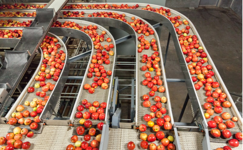 Clean and fresh gala apples on a conveyor belt