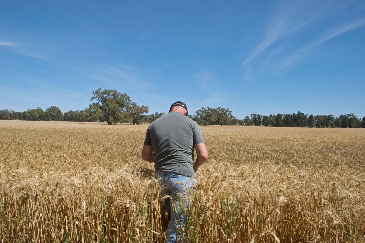 Pilotair-Australian agriculture